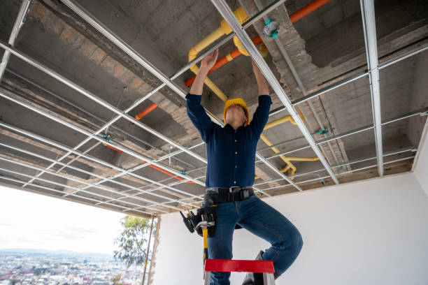 Best Leak Detection Services  in Lake Catherine, IL