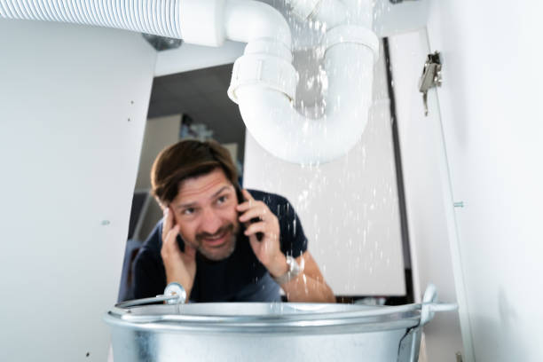 Best Affordable Plumber Near Me  in Lake Catherine, IL