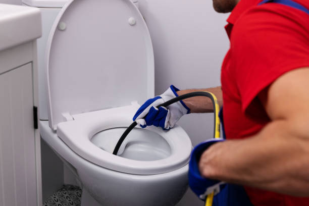 Best Drain Cleaning Services  in Lake Catherine, IL