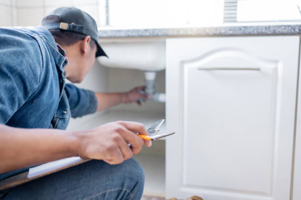 Best Clogged Drain Plumber  in Lake Catherine, IL