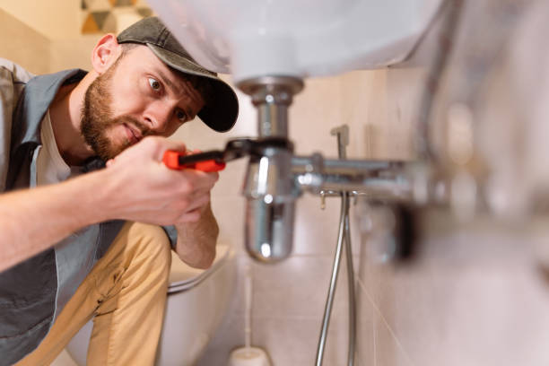 Best Shower Repair Services  in Lake Catherine, IL