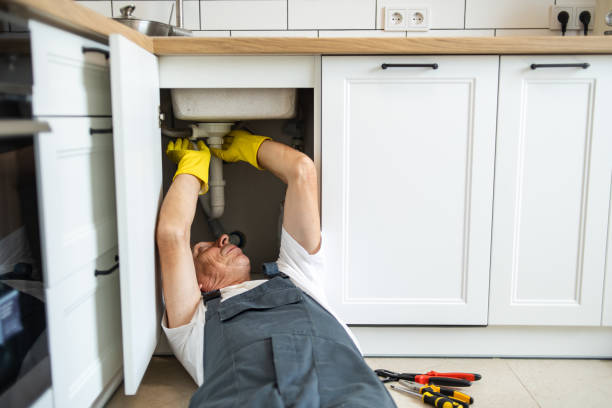 Best Emergency Plumbing Repair  in Lake Catherine, IL