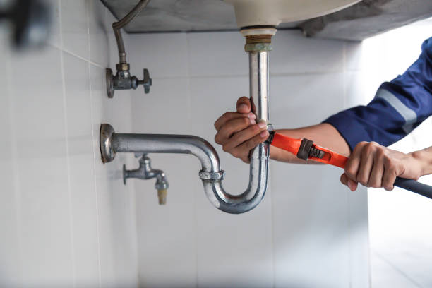 Best Plumbing Installation Services  in Lake Catherine, IL