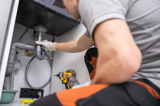 Best Leak Detection Services  in Lake Catherine, IL